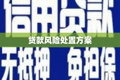 三水贷款风险处置方案