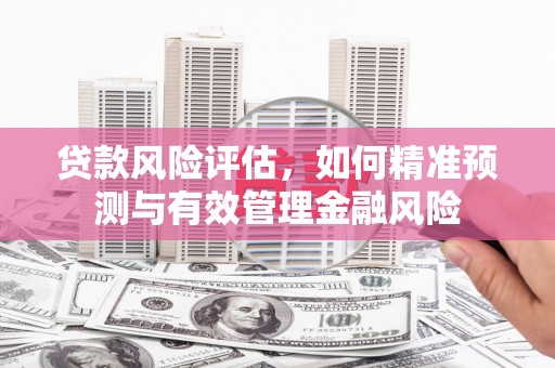 三水贷款风险评估，如何精准预测与有效管理金融风险
