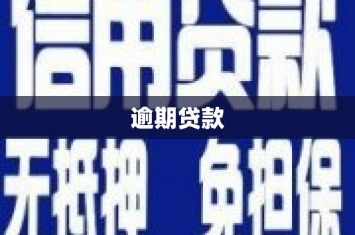 三水逾期贷款