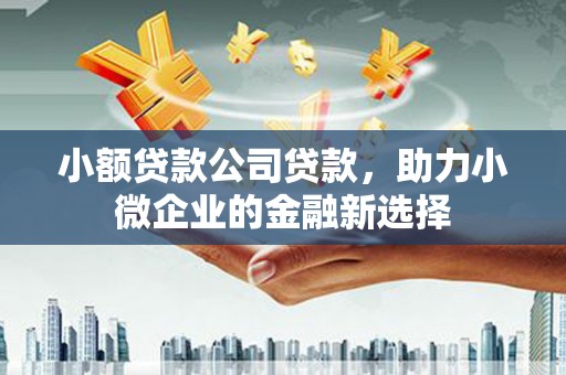 三水小额贷款公司贷款，助力小微企业的金融新选择