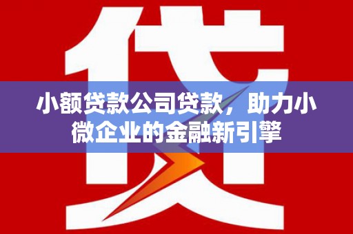 三水小额贷款公司贷款，助力小微企业的金融新引擎