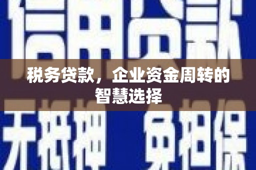 三水税务贷款，企业资金周转的智慧选择
