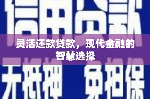 三水灵活还款贷款，现代金融的智慧选择