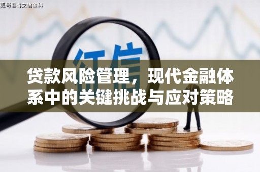 三水贷款风险管理，现代金融体系中的关键挑战与应对策略
