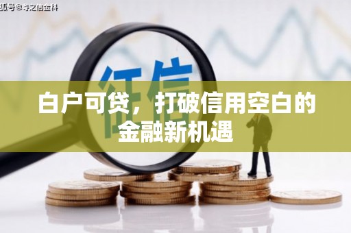 三水白户可贷，打破信用空白的金融新机遇