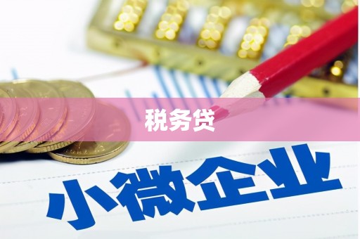 三水税务贷