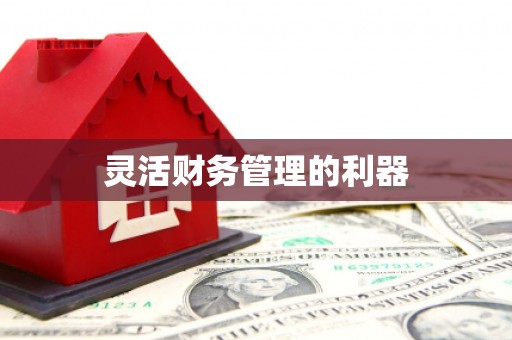 三水灵活财务管理的利器
