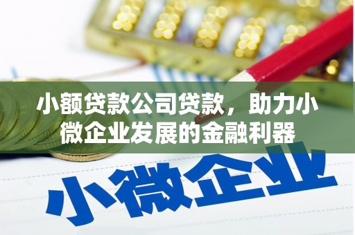 三水小额贷款公司贷款，助力小微企业发展的金融利器