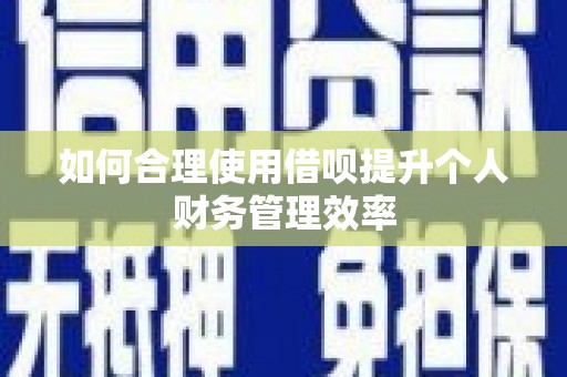 三水如何合理使用借呗提升个人财务管理效率