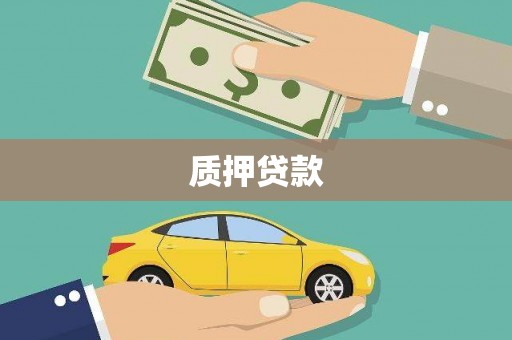 三水质押贷款