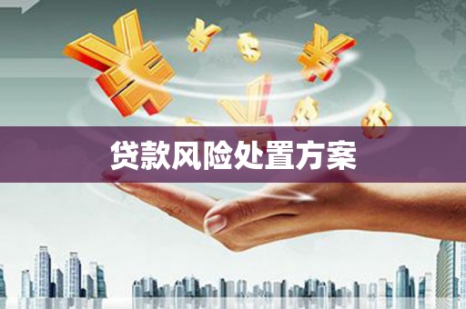 三水贷款风险处置方案