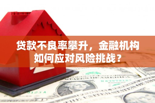 三水贷款不良率攀升，金融机构如何应对风险挑战？
