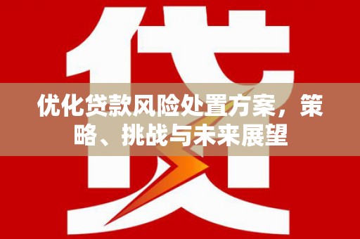 三水优化贷款风险处置方案，策略、挑战与未来展望