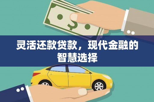 三水灵活还款贷款，现代金融的智慧选择