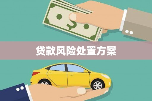 三水贷款风险处置方案