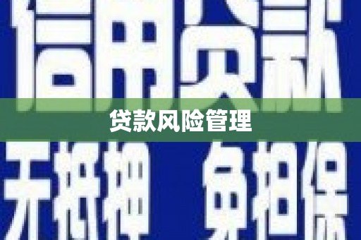 三水贷款风险管理