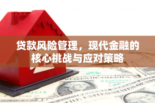 三水贷款风险管理，现代金融的核心挑战与应对策略