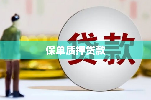 三水保单质押贷款