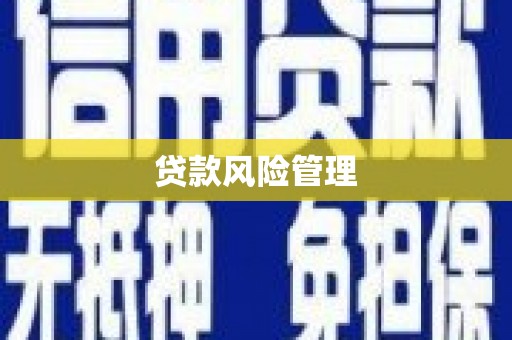 三水贷款风险管理
