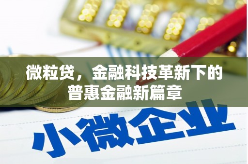 三水微粒贷，金融科技革新下的普惠金融新篇章