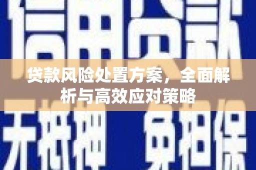 三水贷款风险处置方案，全面解析与高效应对策略