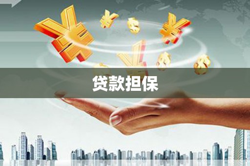 三水贷款担保