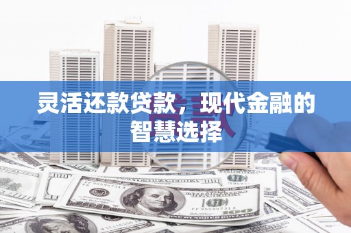 三水灵活还款贷款，现代金融的智慧选择