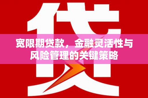 三水宽限期贷款，金融灵活性与风险管理的关键策略
