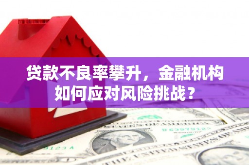 三水贷款不良率攀升，金融机构如何应对风险挑战？