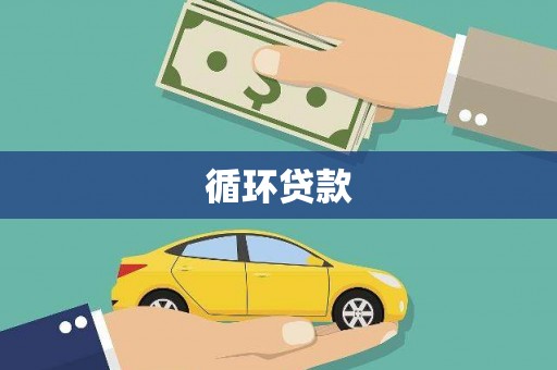 三水循环贷款