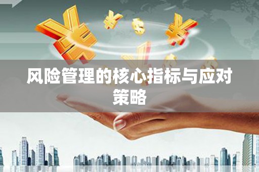 三水风险管理的核心指标与应对策略