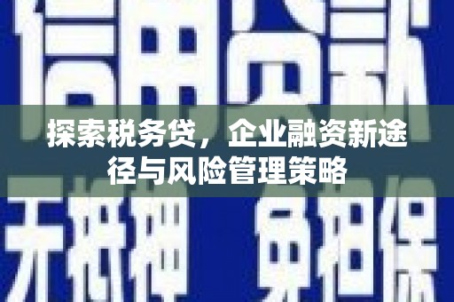 三水探索税务贷，企业融资新途径与风险管理策略