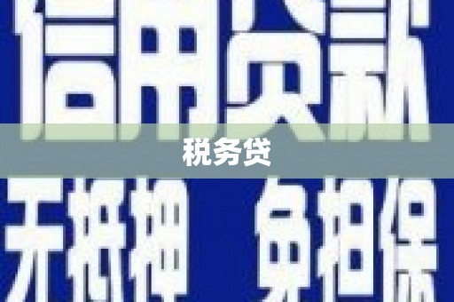 三水税务贷