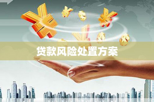 三水贷款风险处置方案