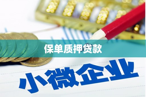 三水保单质押贷款
