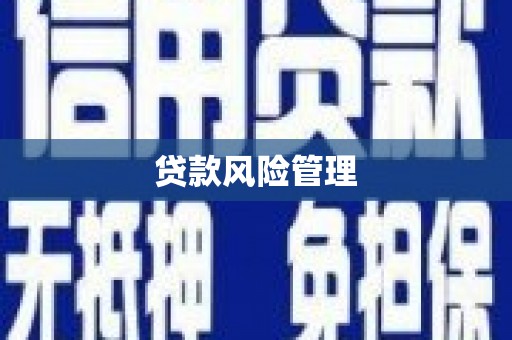 三水贷款风险管理
