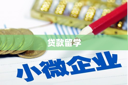 三水贷款留学