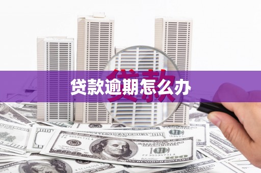 三水贷款逾期怎么办