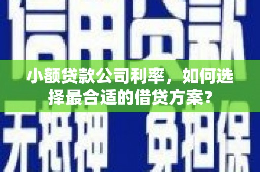 三水小额贷款公司利率，如何选择最合适的借贷方案？