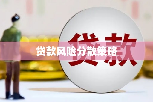 三水贷款风险分散策略