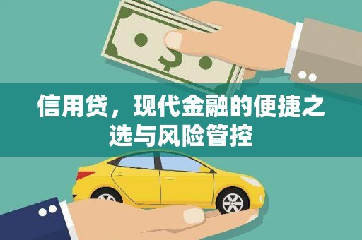 三水信用贷，现代金融的便捷之选与风险管控