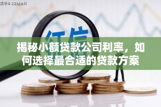 三水揭秘小额贷款公司利率，如何选择最合适的贷款方案