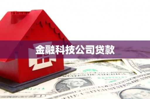 三水金融科技公司贷款