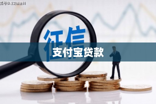 三水支付宝贷款