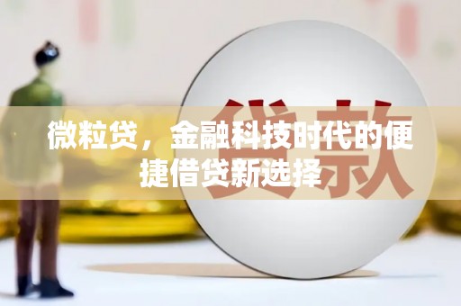 三水微粒贷，金融科技时代的便捷借贷新选择