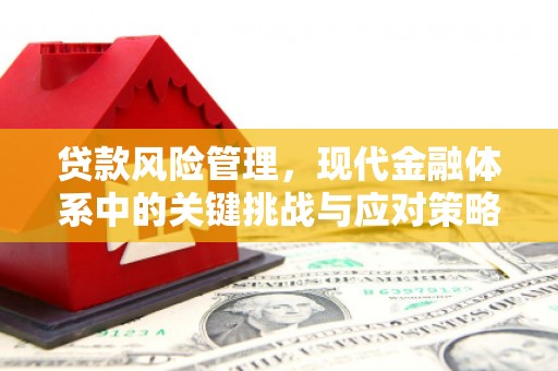 三水贷款风险管理，现代金融体系中的关键挑战与应对策略