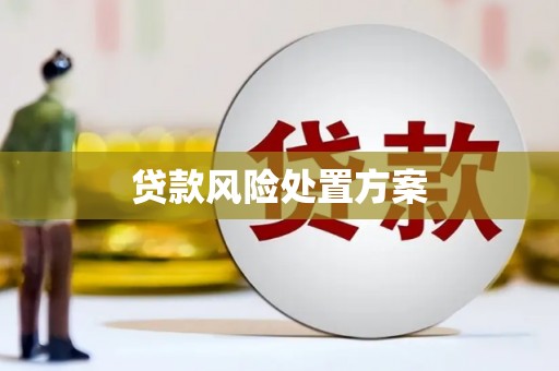 三水贷款风险处置方案