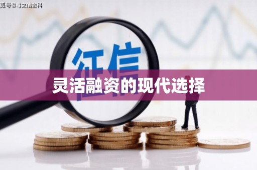 三水灵活融资的现代选择