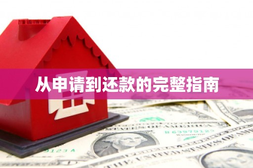 三水从申请到还款的完整指南