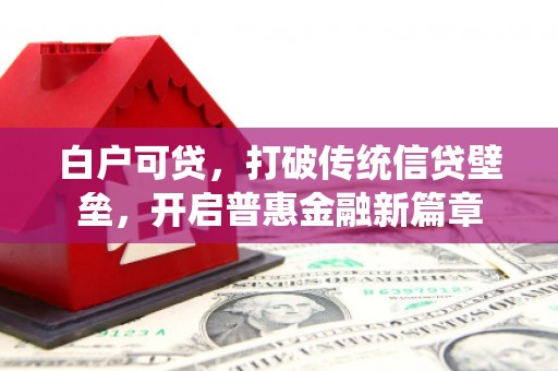 三水白户可贷，打破传统信贷壁垒，开启普惠金融新篇章